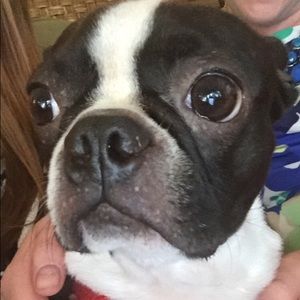 Meet your Posher, Allie